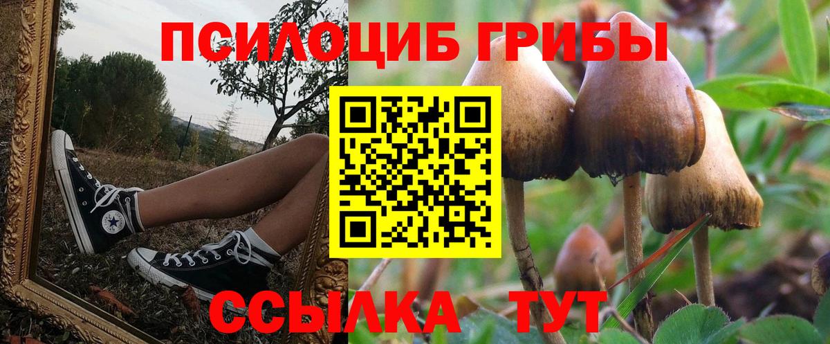Псилоцибиновые грибы MAGIC MUSHROOMS Долгопрудный