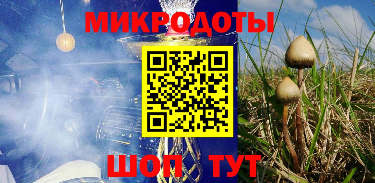 Галлюциногенные грибы Psilocybine cubensis  Галлюциногенные грибы Cubensis  купить  цена  Вход с VPN  Долгопрудный 